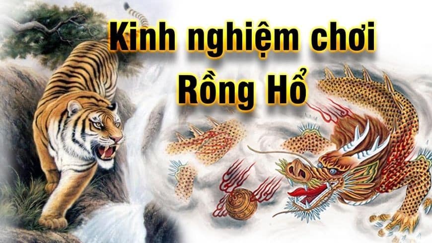 rồng-hổ